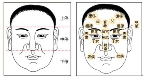 土型人女|土型人面相 如何从面相看土型人